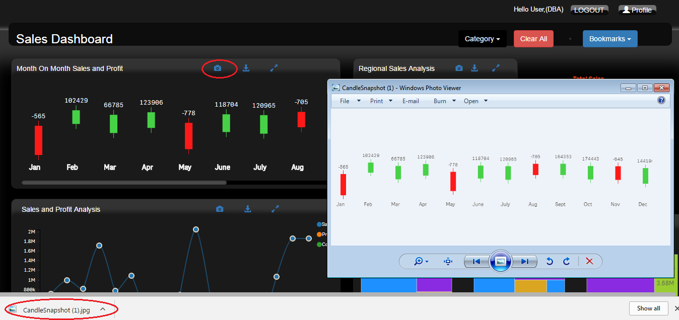 Qlik Sense Customization